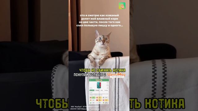 Так и не понял