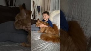 Мейн кун и мальчик.