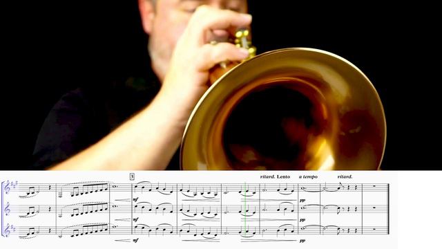 SAINT-SAËNS "The Swan" (for Solo Flugelhorn and Piano) смотреть онлайн