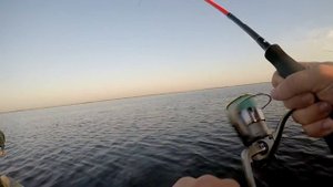 Ловля щуки в ЛИМАНАХ на Азовском море. Щука на поверхностные приманки, июль месяц.