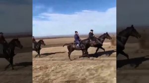 Рысаки и Иноходцы прогулка 51 км