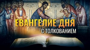 «ВЕРА ТВОЯ СПАСЛА ТЕБЯ» / ЕВАНГЕЛИЕ ДНЯ