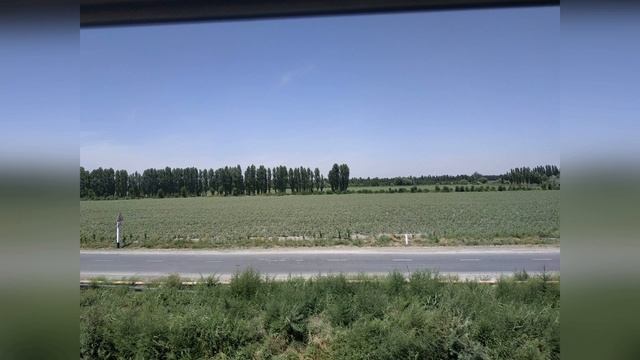КОКАНД! МАНТЫ! В ФЕРГАНСКУЮ ДОЛИНУ НА ПОЕЗДЕ! - KOKAND! MANTI! TO THE FERGANA VALLEY BY TRAIN!