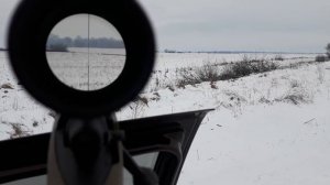 Охота на лису Remington 700 ADL 308 WIN