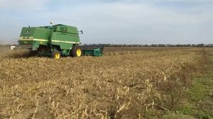 уборка сорго No till (Все нюансы при выращивании)