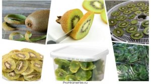 Как выбрать и сохранить киви.