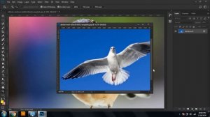 How to use Zoom Tool in Photoshop | zoom tool In Hindi