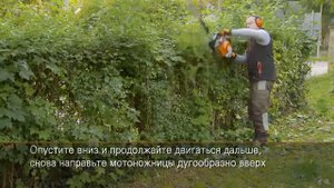 Архипарк - советы для сада и огорода. Способы работы бензиновым кусторезом - встречный рез