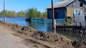 Деревня Боково Тюменская область Абатского района