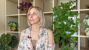 Мой уход за комнатными растениями /полив / удобрения для комнатных растений / секреты базового уход