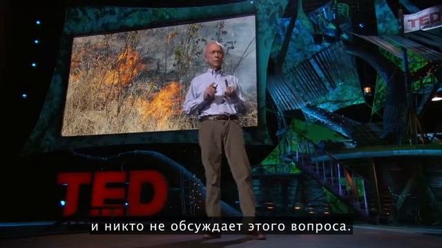 Озеленение пустынь