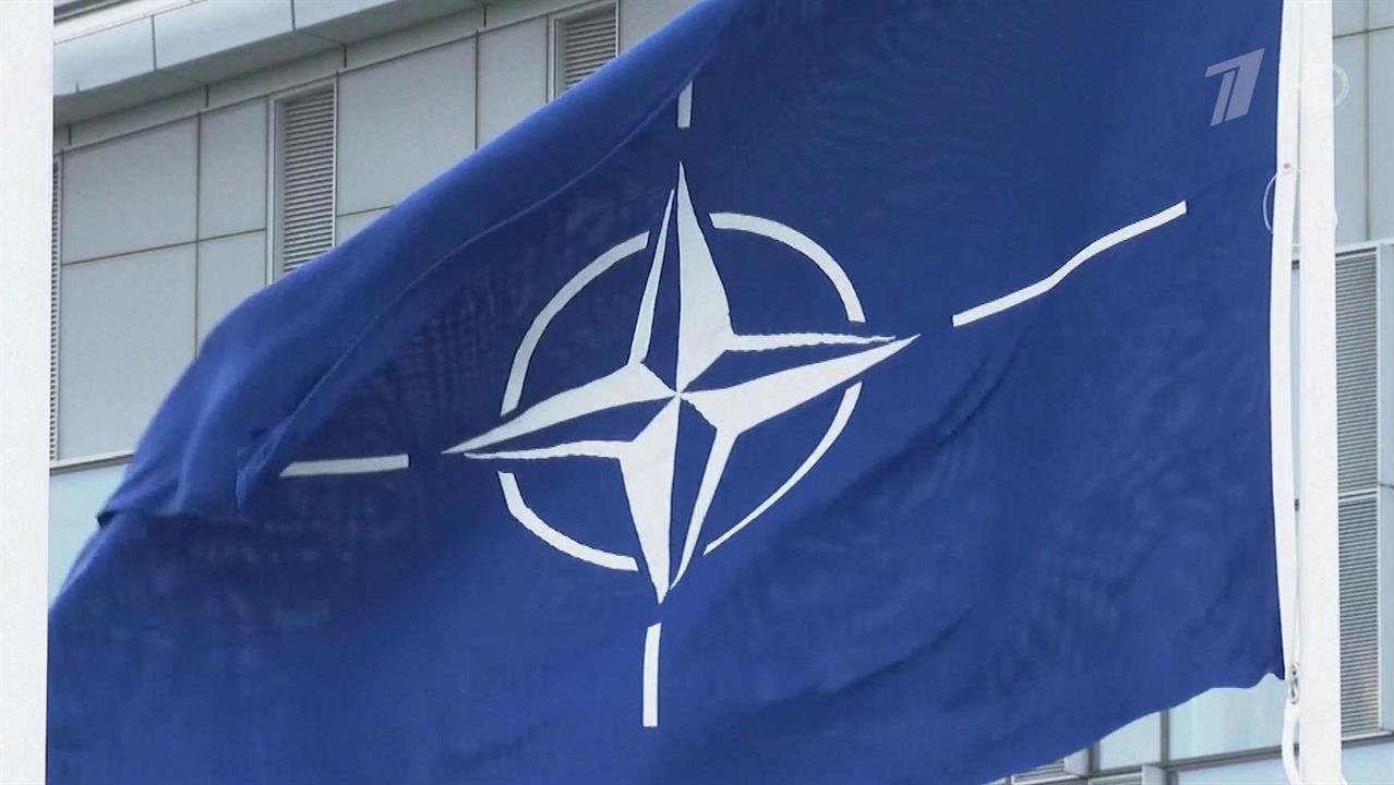 В преддверии саммита НАТО правозащитники призывают остановить империализм США