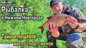 Рыбалка на Волге Нижний Новгород. Ловля леща на фидер. Уловистое место для рыбалки