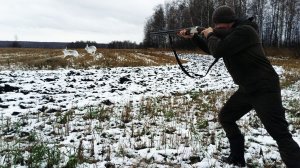 Шикарнейшая Охота на Зайца по первому Снегу. Нужно только Найти!!!