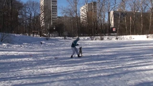 Фризби Вебстайл 2015  Елена и Кобра.mp4