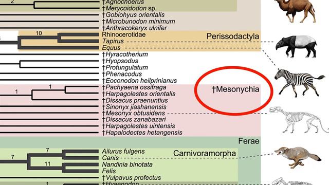 Andrewsarchus - the enormous ancient hunter смотреть онлайн