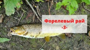 #30 #форель  #ультралайт Форелевый рай. Выпуск №3