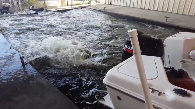 Pro-Line 20 with Suzuki 140 only 50 hours смотреть онлайн