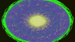 Windows Media Player 4 3 2016 11 31 34 AM