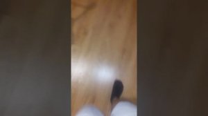 Отопление самотеком (естественой циркуляцией). Часть 1