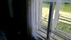 Русская печь, изба и Степа