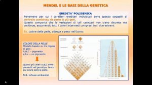 Genetica classica Parte 7