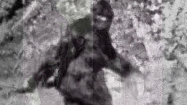 7 интересных фактов о снежном человеке