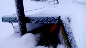 Зима на винограднике северо-запада