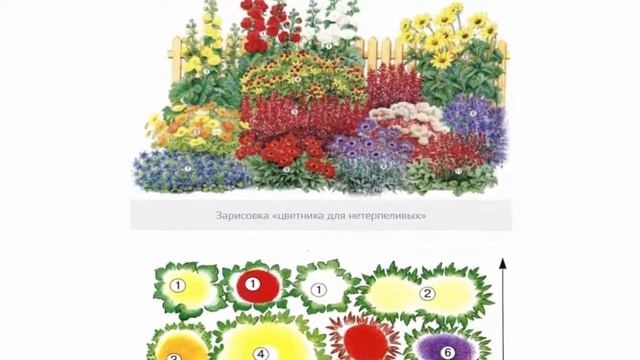 Схемы красивых цветников и клумб. Украшаем дачный участок своими руками готовые . смотреть онлайн