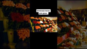 pavekan75_2022-11-23-16-14-28_1669202068285.mp4