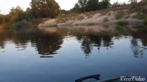 Выход на глиссер мотора 5 л.с