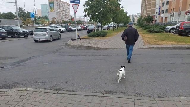 12 сентября 2022г. Прогулка с Жади!!! смотреть онлайн