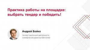 Практика работы на площадке: выбрать тендер и победить!