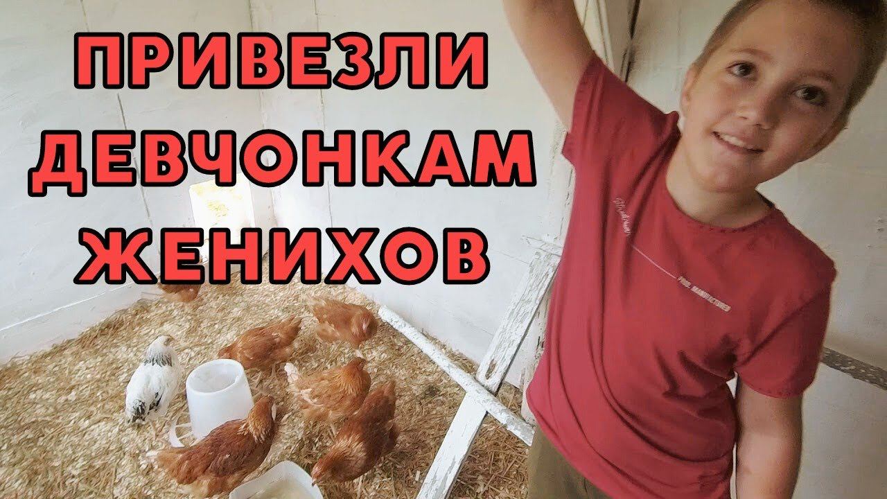 ПОПОЛНЕНИЕ В ХОЗЯЙСТВЕ | ЖИЗНЬ В ДЕРЕВНЕ | ПОХОД ПО МАГАЗИНАМ #домвдеревне #жизньвдеревне #хутор