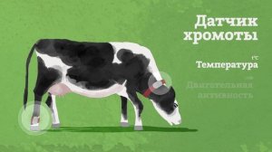 «Умная ферма» (система контроля состояния крупного рогатого скота на основе носимых датчиков)