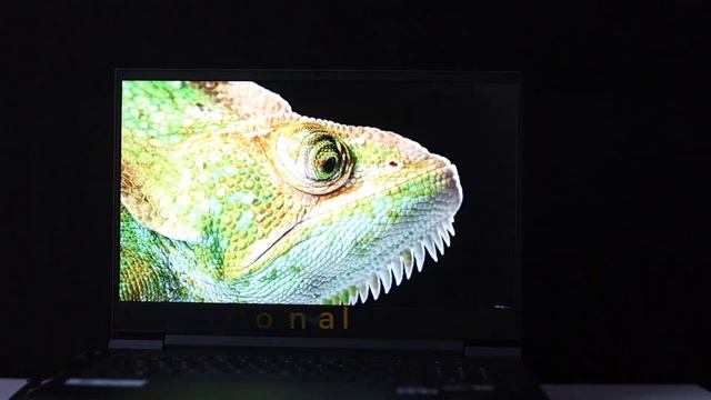 HP Victus 16 - Laptop Review coming soon! смотреть онлайн