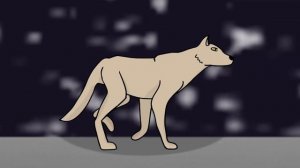 Moon Wolf Animation Test