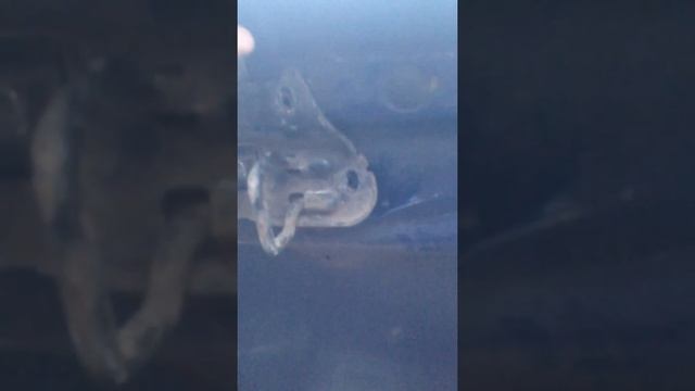 Audi A4 B5 соскочил тросик капота способ открыть. смотреть онлайн