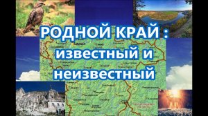 Родной край: известный и неизвестный -  видео экскурсия