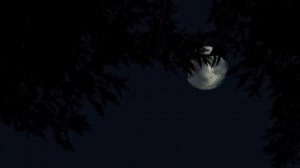 СТАРУХА ПО СОСЕДСТВУ... Страшные истории от Гробовщика