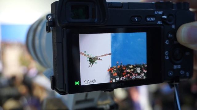 CP+ 2016 SONY A6300(ILCE-6300) 4D Focus DEMO -2 смотреть онлайн