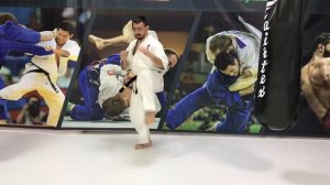 Смещение после удара ногой в Киокушинкай.