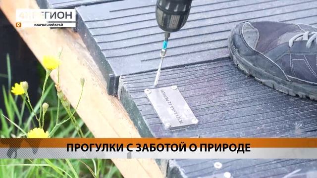 Новости Камчатки за 7 августа 2023 года