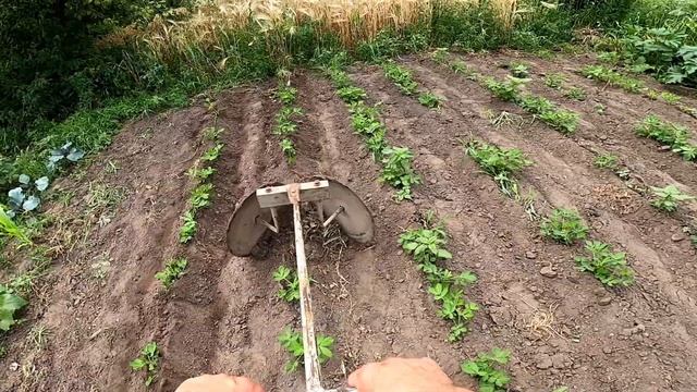 Дивовижний мотоблок та спогади. Сезон 5.2 Amazing motoblock and memories