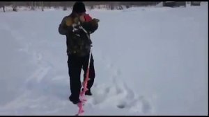 Бешеный бур