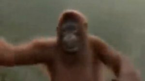 Песня субота