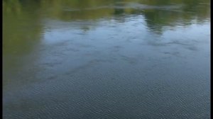 Шубино.река Пьяна.Шубино-Видео.ру