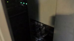 3тэ25к2м 0032 Устал. решил отдохнуть.