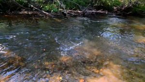 Все самые лучшие моменты с летней рыбалки 2021! Только ловля хариуса и ленка, ничего лишнего!