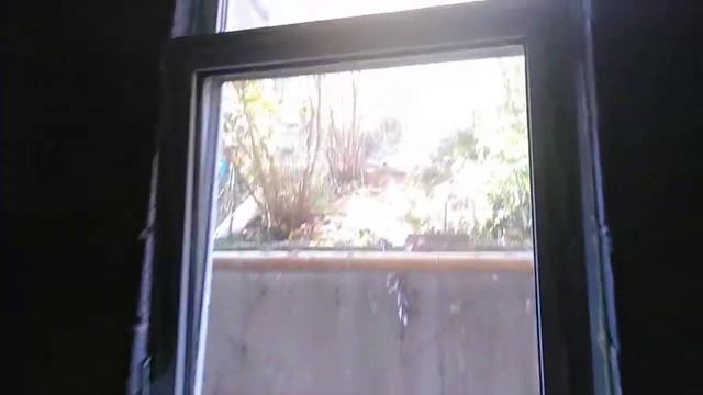 Студия 24,3 м2, 1 этаж г. Сочи, Дагомыс Цена 1 749 000 смотреть онлайн